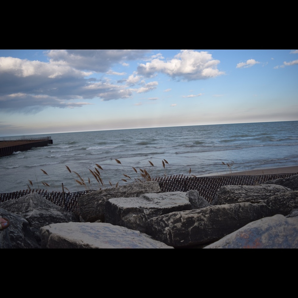 Meet your Posher, Nikki